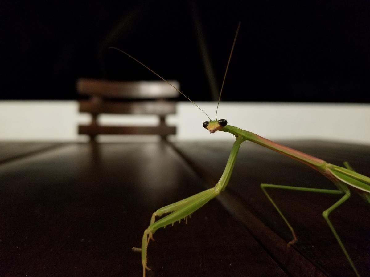 Rumassala Villas ウナワトゥナ エクステリア 写真
